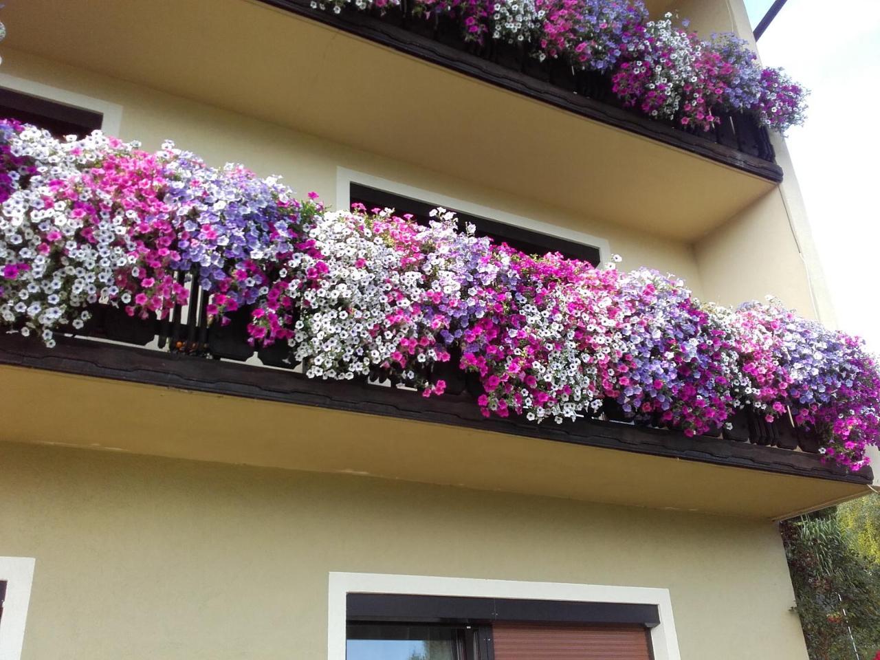 Appartement - Ferienwohnungen - Gaestehaus Gabriele Drobollach am Faakersee Ngoại thất bức ảnh