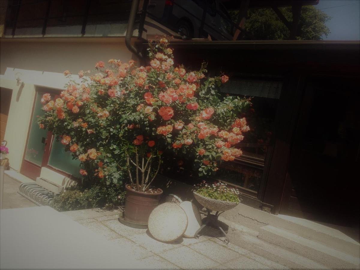 Appartement - Ferienwohnungen - Gaestehaus Gabriele Drobollach am Faakersee Ngoại thất bức ảnh